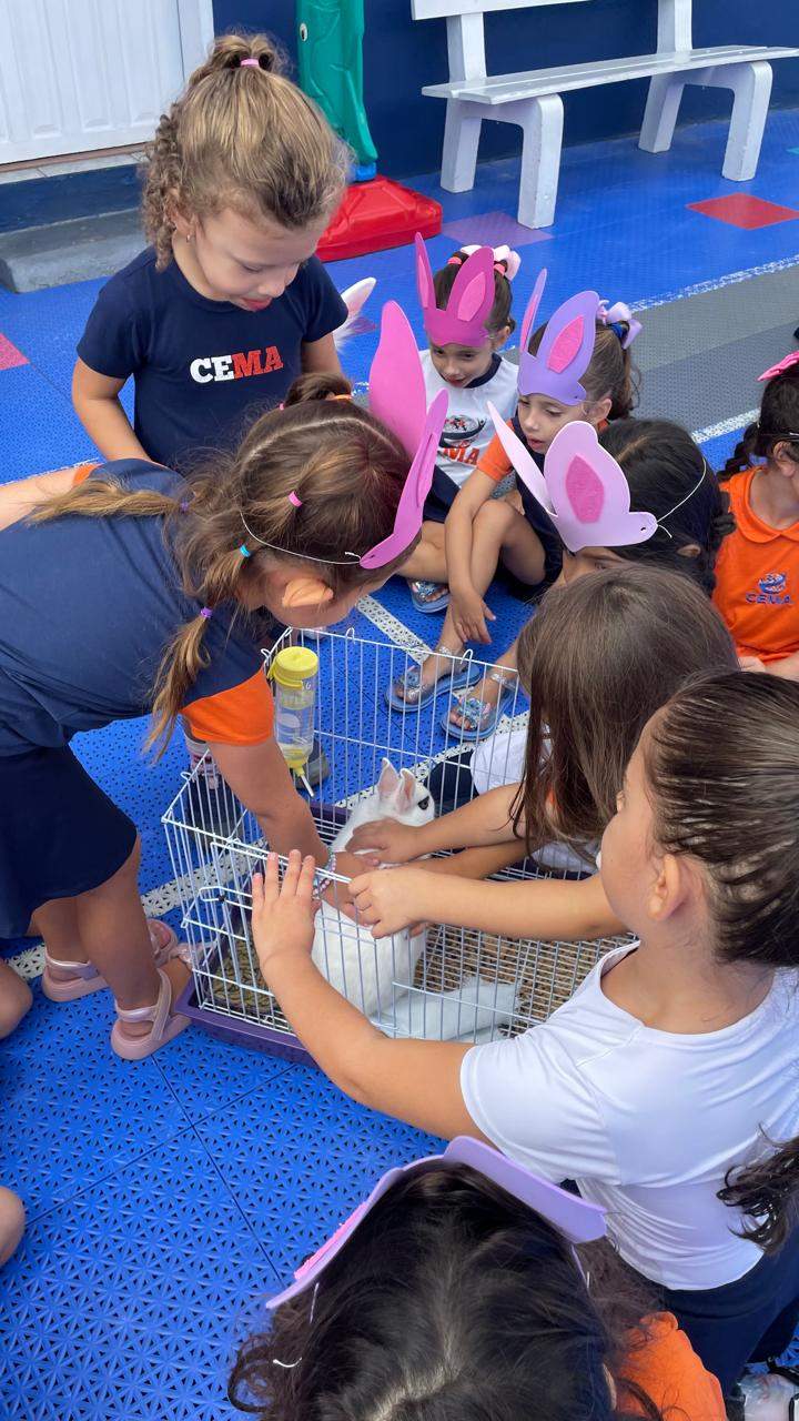 Páscoa — foto 58