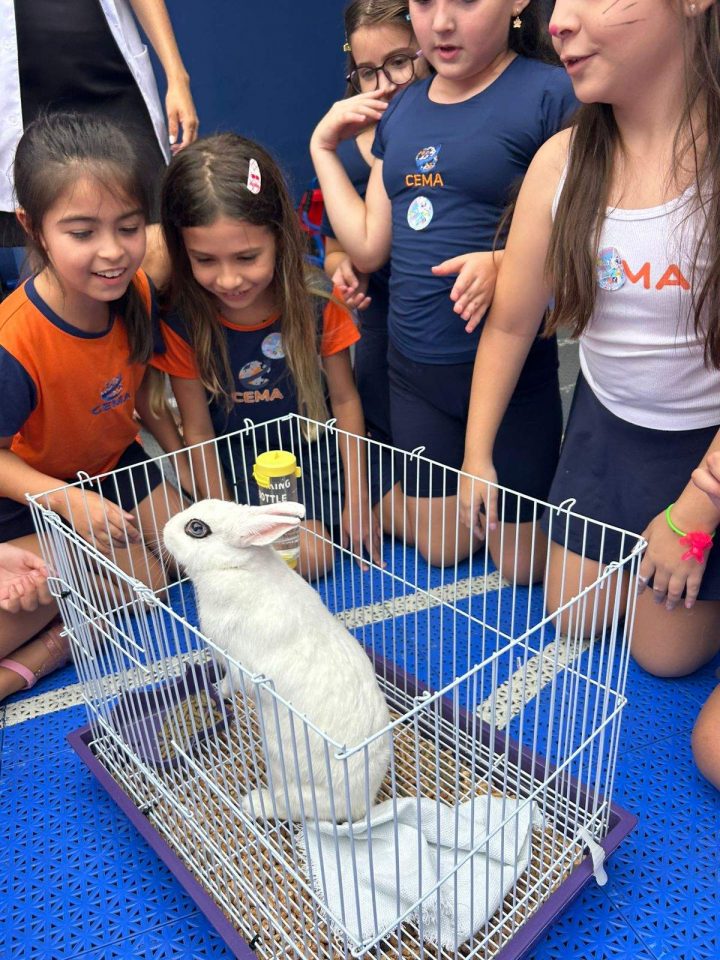 Páscoa — foto 72