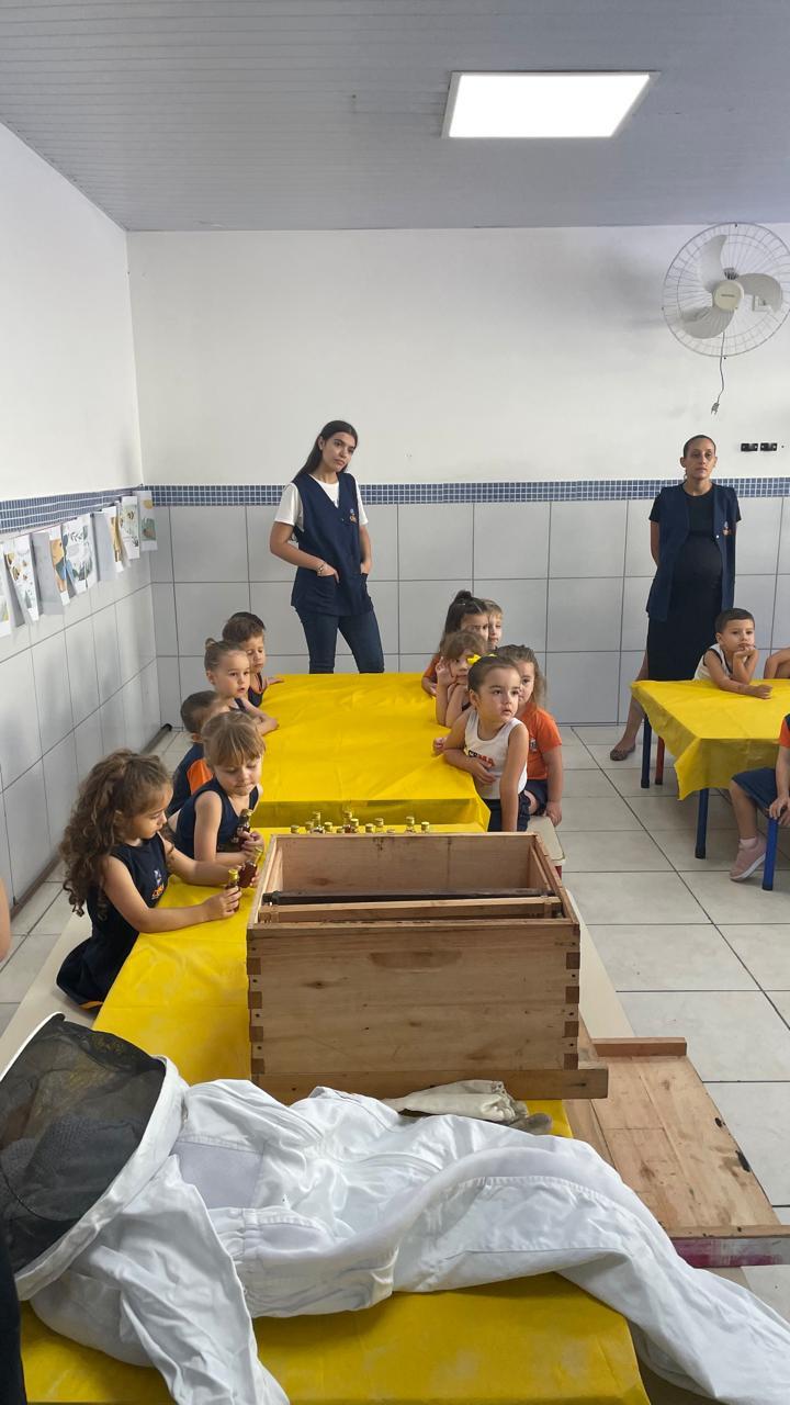 O Doce Caminho do Mel — foto 23